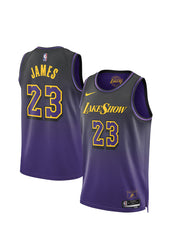 LeBron James Los Angeles Lakers