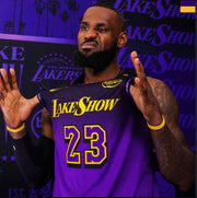 LeBron James Los Angeles Lakers