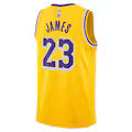 Los Angeles Lakers Lebron james